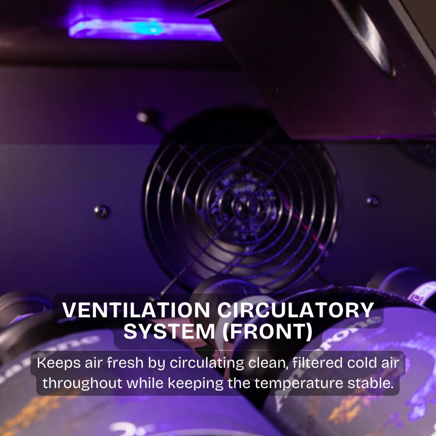 120 Bottles Wine Chiller | CW 100TH SNS