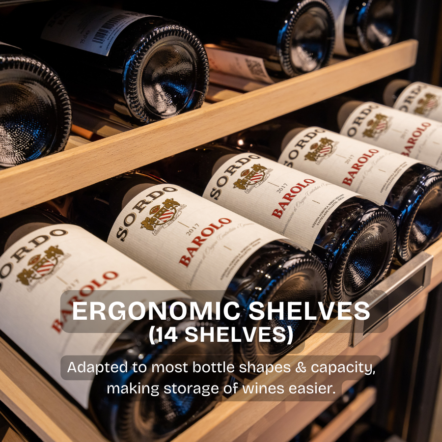 171 Bottles Wine Chiller | CW 1700ED AT