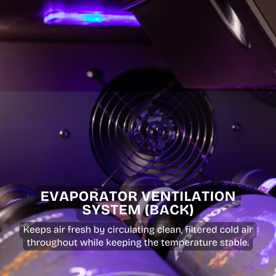 34 Bottles Wine Chiller | CW 343ES AT