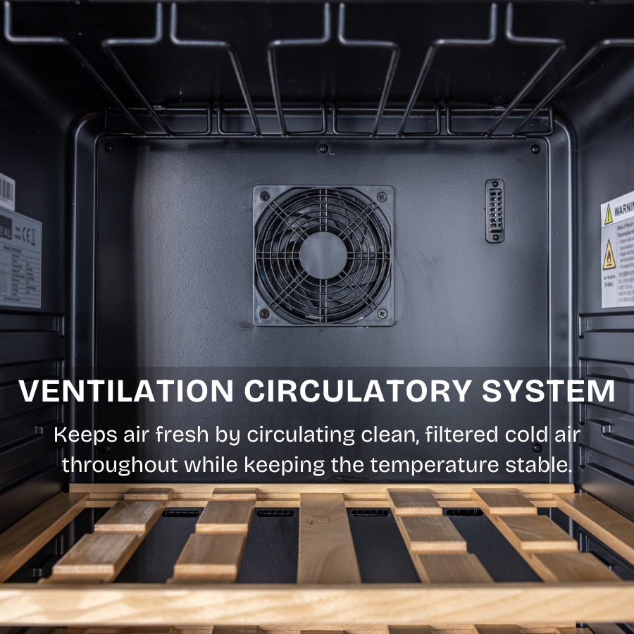 65 Bottles Wine Chiller | CW P651