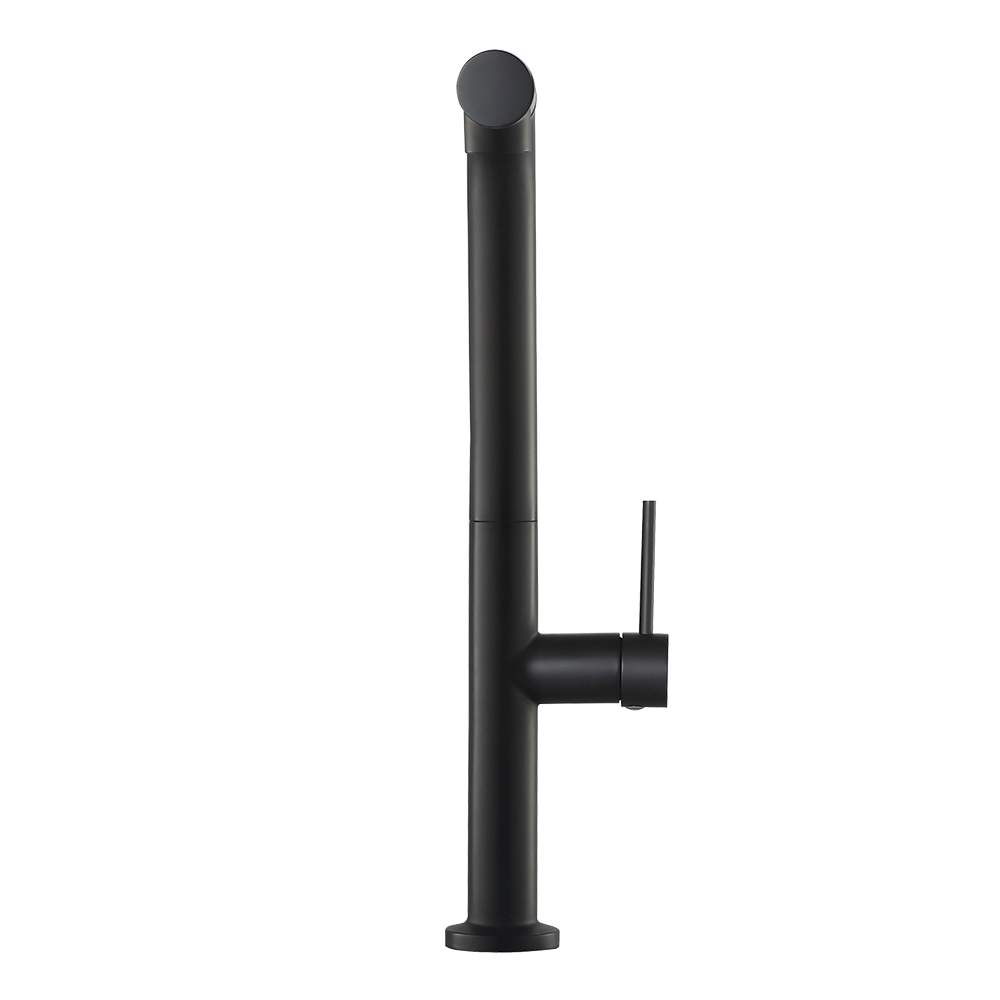 Inox Pull-Out Spray Sink Mixer/ Cold Tap | Inox 7744PS BK