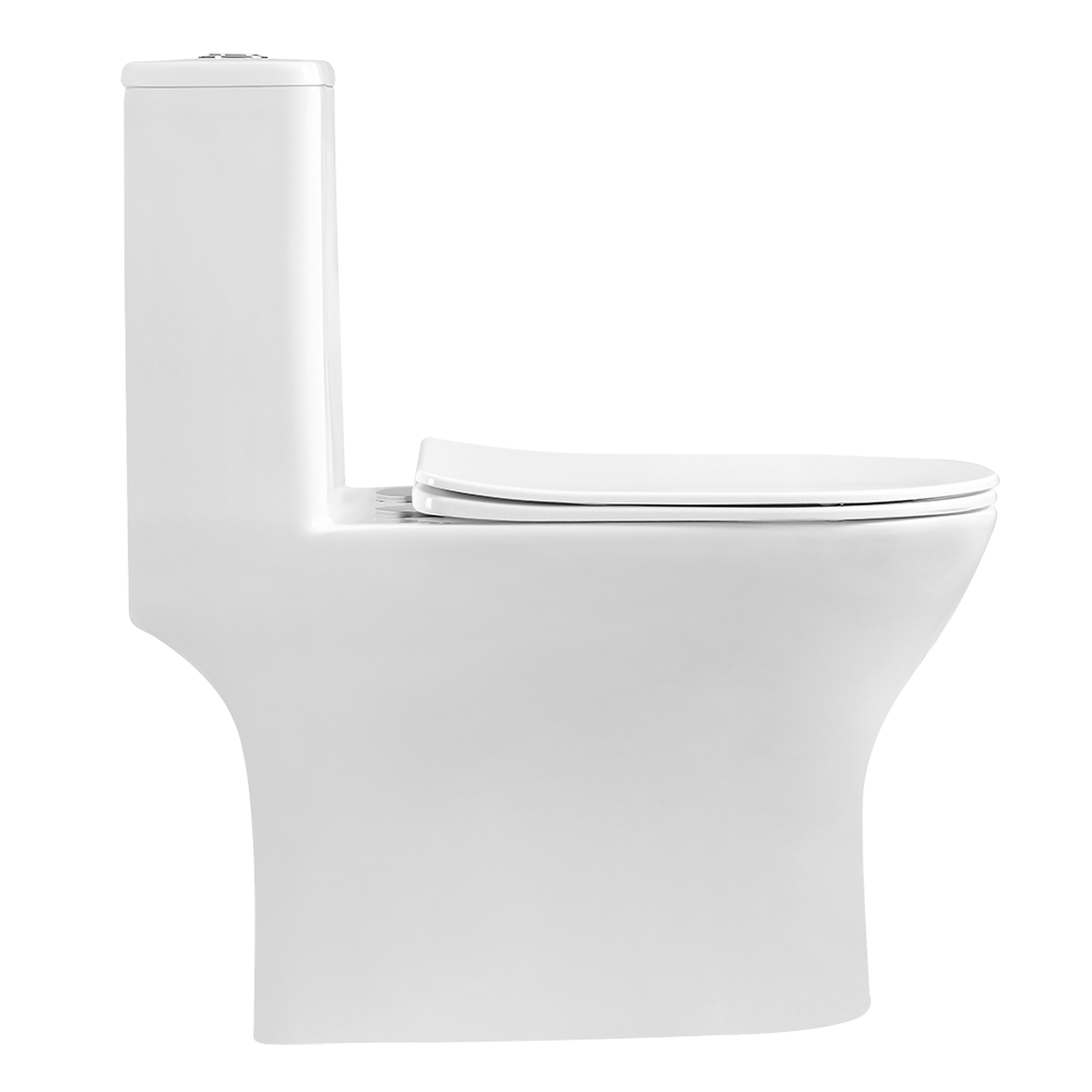 Piz Fora Rimless One-Piece Toilet | PF106