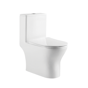 Washdown One-Piece Toilet S-Trap 250mm | PF-106S10