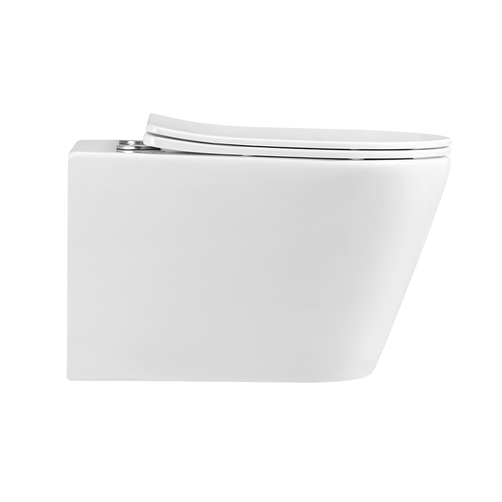 Piz Fora Rimless Wall Hung Toilet | PF 306P07