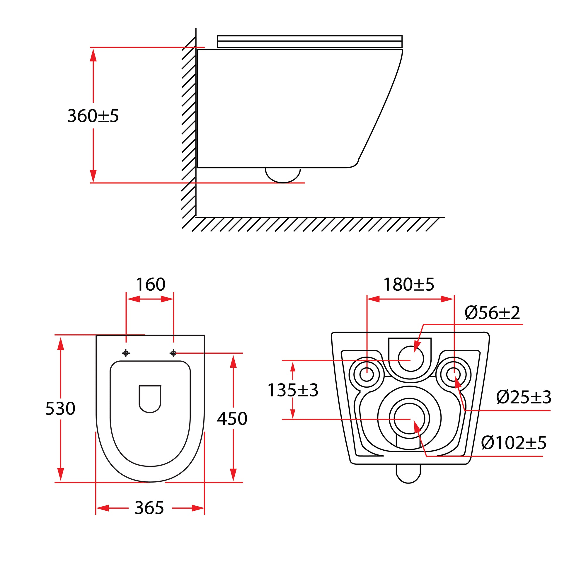 Piz Fora Rimless Wall Hung Toilet | PF 306P07