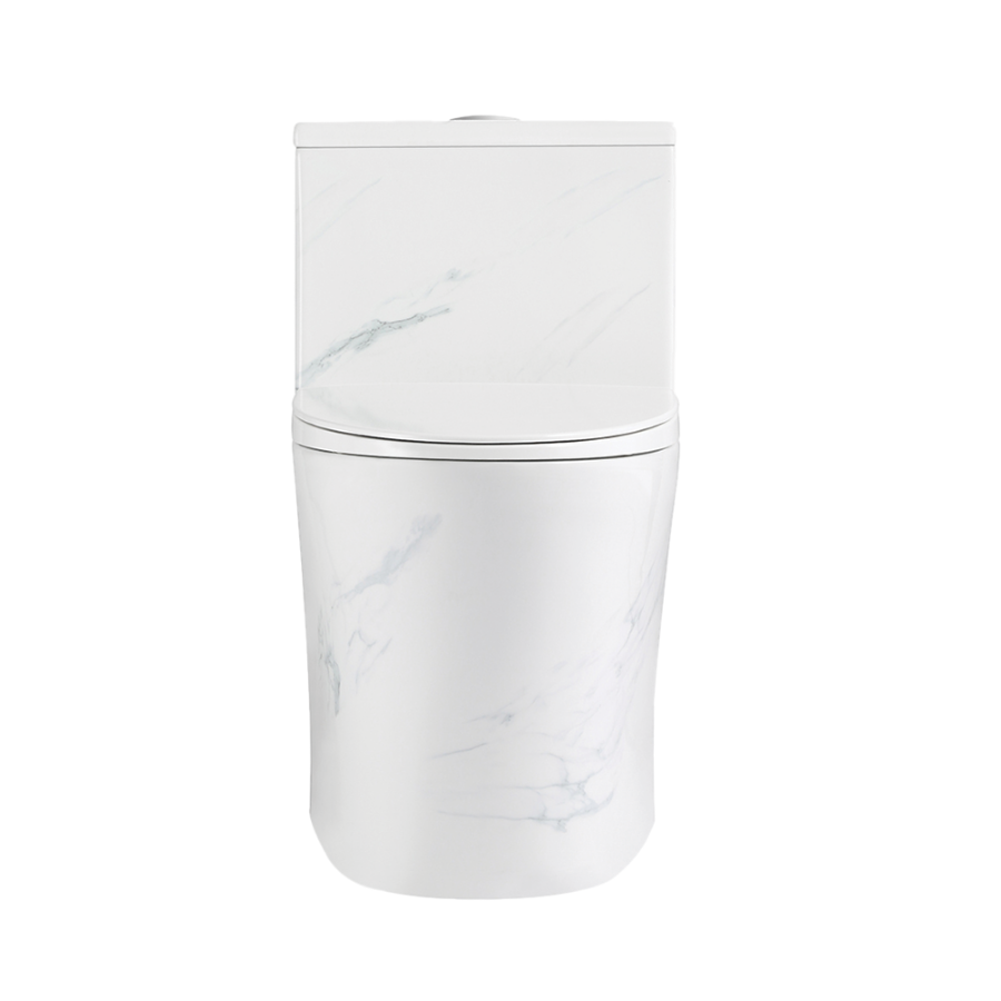 Washdown One-Piece Toilet S-Trap 250mm | PN-105S10 (Stone Marble)