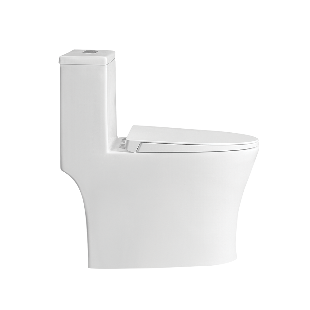Punta Nera Rimless One-Piece Toilet | PN 105S06 & PN105S10