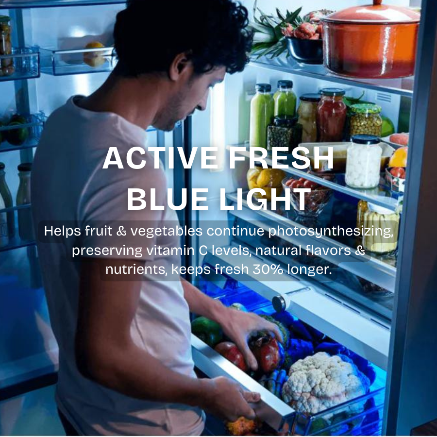 Bottom Mount Refrigerator 340L | RCNT340I50VP