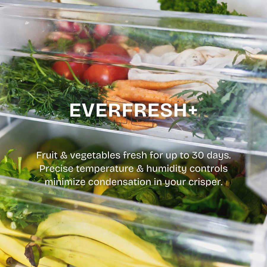 Bottom Mount Refrigerator 375L | RCNT375I50VZWB