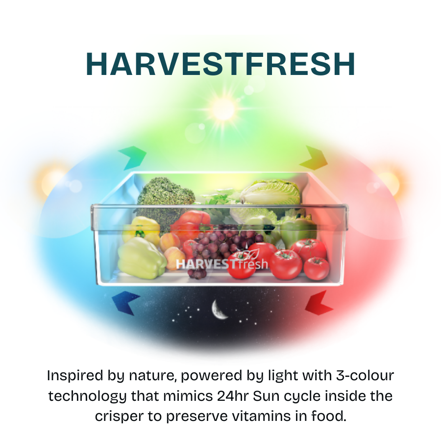 Top Mount Refrigerator 250L | RDNT251I50VP