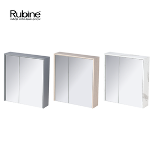 ACO 1 1⁄4 Door PVC Mirror Cabinet | RMC-ACO-5560D15