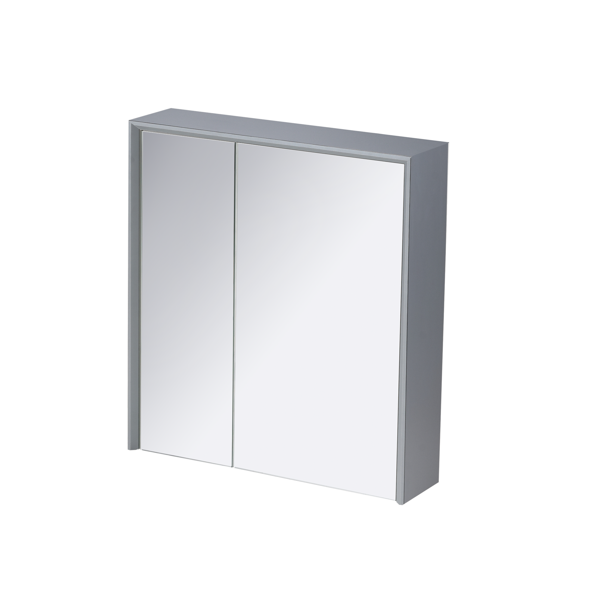 ACO 1 1⁄4 Door PVC Mirror Cabinet | RMC-ACO-5560D15