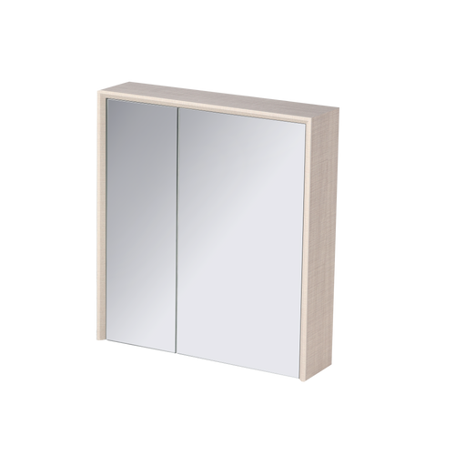 ACO 1 1⁄4 Door PVC Mirror Cabinet | RMC-ACO-5560D15