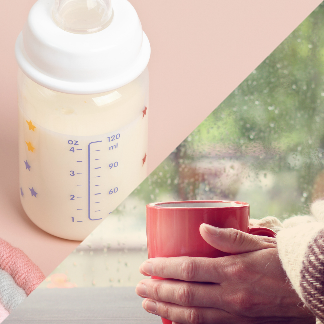 BEVIE Electric Milk Frother Tumbler | TMF-300-BG